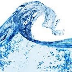 Meet your Posher, Thuc nhan